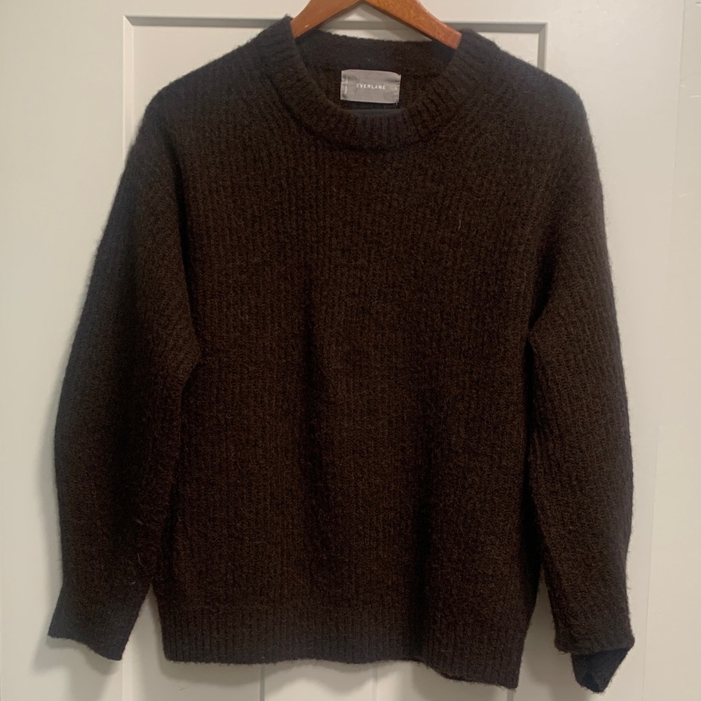 Everlane crew neck cocoon alpaca sweater